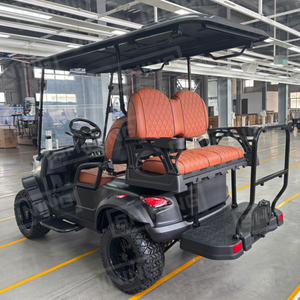 Xe điện golf chạy xăng hợp pháp đường phố Shininglsv, xe mini với động cơ 4 thì, lựa chọn đáng tin cậy - Product Image 6