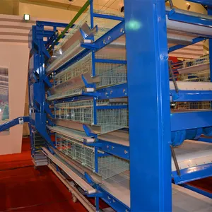 Cage automatique à 3 à 6 niveaux pour élevage de volaille, Cage pour élevage de volaille
