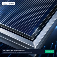 Module HJT Bifacial 20W 725W, Efficacité 23,2% 23,3%, 132 Demi-Cellules, 1500V CC, Charge Mécanique 5400Pa, Panneau Photovoltaïque, Vente en Gros
