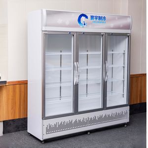 Refrigerador Comercial para Supermercados, Refrigerador <span class=keywords><strong>de</strong></span> Exhibición con Enfriamiento por Aire para Bebidas, <span class=keywords><strong>CocaCola</strong></span>, Pepsi y Otras Bebidas - Product Image 5