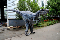 Costume de dinosaure simulé pour adulte, costume de dinosaure Raptor, costume de dinosaure animatronique pour parc à thème, costumes de dinosaures personnalisés