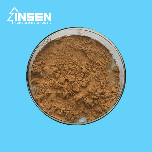 Fruit Body and Mycelium Maitake Mushroom Extract 10%-50% Polysaccharide