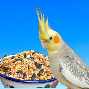 All'ingrosso pappagallo ad alto contenuto proteico cibo misto specializzato piccoli pappagalli cibo per uccelli con vermi della farina - Product Image 2