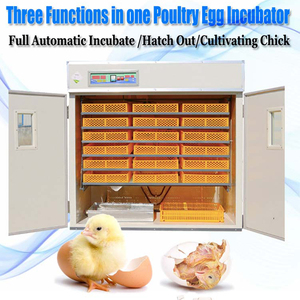 Incubateur automatique pour <span class=keywords><strong>œuf</strong></span>s <span class=keywords><strong>de</strong></span> poulet, 100 unités/lot, usine professionnelle - Product Image 3