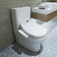Intelligent Lavage à L'eau Chaude Turc Bidet de Toilette