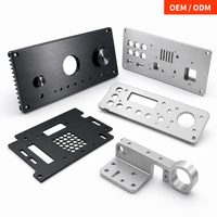 Panneau avant d'amplificateur en aluminium sur mesure, usinage CNC, plaque en aluminium anodisé, estampage du panneau arrière, OEM