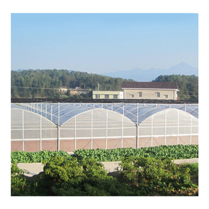 Sino Agri trồng giải pháp thiết bị nông nghiệp nhà kính hydroponics hệ thống cho Ớt Ớt phát triển - Product Image 5