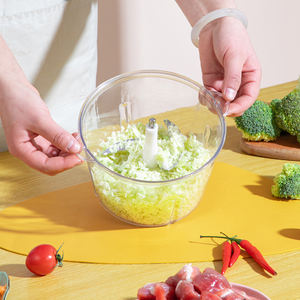 Coupe-légumes professionnel en acier inoxydable, mini robot culinaire multifonction 2L 3L 5L, hachoir électrique - Product Image 4