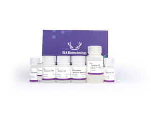 Polimerasa de ADN Taq de arranque en caliente, alta calidad para uso en investigación - Product Image 5
