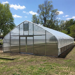 Un Túnel de plástico verde de doble capa grande de un solo tramo para agricultura/granja 2,5 m-4,5 m Multi-Span para frutas vegetales - Product Image 3