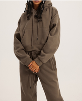 Ensemble deux pièces pour femmes survêtement personnalisé automne et hiver Plus velours épaissi couleur unie à capuche sport pull décontracté