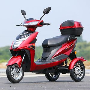 สกู๊ตเตอร์สำหรับผู้ใหญ่ 1200W EEC สกู๊ตเตอร์สามล้อ มอเตอร์ไซค์สามล้อ - Product Image 2