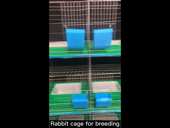 High Quality Hot Dip Galvanizing Rabbit Cages Cheap Commercial Rabbit Breeding Cages 10 Provided