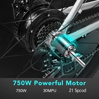 Vélo de montagne électrique EU Warehouse FLM E8 29 pouces 48V 750W 17.5AH pour adultes, tout-terrain