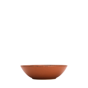 Piatto Fondo in Terracotta Foresta 22 cm con Base Piatta - Product Image 2