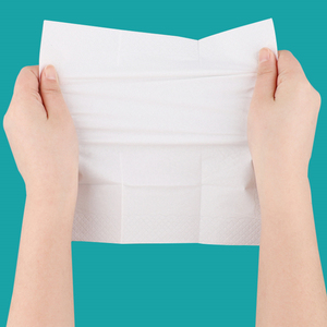 Biểu Tượng Tùy Chỉnh Mini <span class=keywords><strong>Pocket</strong></span> Facial Tissue Gói Dùng Một Lần <span class=keywords><strong>Pocket</strong></span> Tissue - Product Image 4