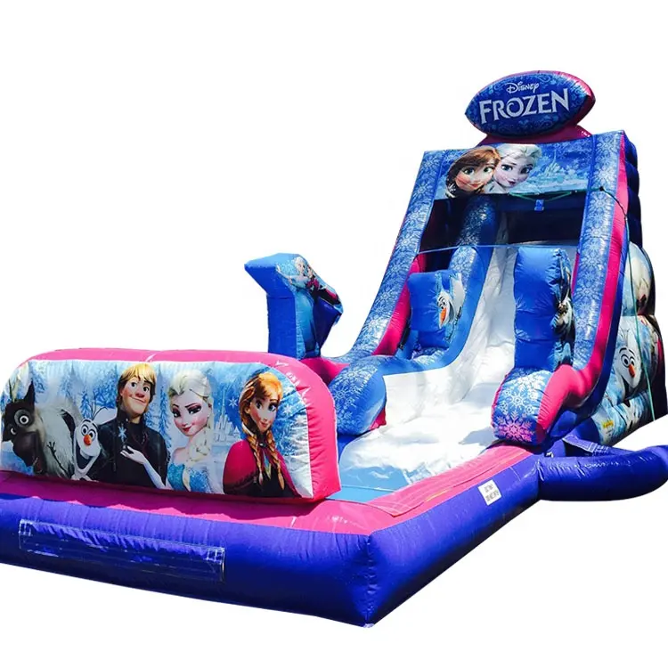 Outdoor Adult Size Frozen Inflatable Water Slide Inflatable Slides Commercial Inflatable Garden Activity Water Pool Slide