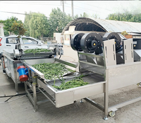 Volautomatische Industriële Ozon Bubble Groente En Fruit Wasmachine Wasmachine Dadels Fruit Apple Washer
