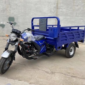 Nouveau style de tricycle 250cc pour passagers et marchandises, moto à trois roues à essence - Product Image 4