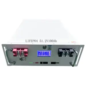Top Sale 48V 100Ah Rack Mounted Battery Lithium Iron Phosphate LiFePO4 Battery For Solar System