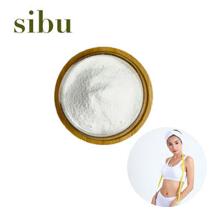 Polvo Sibu de alta pureza: aumenta la energía y quema grasa más rápido - Product Image 4