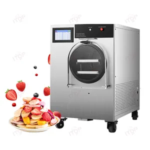 Liquid Powder Chinese Herbal Cosmetics Food Vegetables Fruit Home Laboratory Vacuum Freeze-drying Machine Equipment
