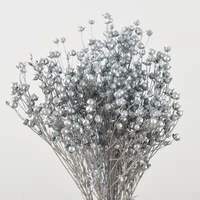 Pabrik Yunnan Grosir Bunga Jequirity Kering, Bunga Jequirity Awet, Dekorasi Bunga Pernikahan, Florist, Eceran, Rumah