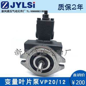 ปั๊มวาล์วแปรผัน VP 20 FA3 250 บาร์ ปั๊มไฮดรอลิกเหล็กหล่อสำหรับงานเคมี - Product Image 3