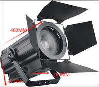 Focos Fresnel LED COB de 300W con Zoom CW/WW 2 en 1, 10-60 Grados, CRI 90, DMX512, IP20 para Teatro, Estudio de TV, Iluminación de Escenario