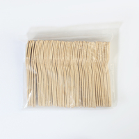 Cuillère à glace jetable en bambou, écologique, pour aliments