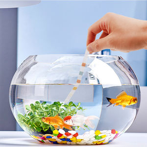 Bandelettes de test <span class=keywords><strong>pour</strong></span> outil de nettoyage de piscine de <span class=keywords><strong>spa</strong></span> bandelettes de test rapides super précises <span class=keywords><strong>pour</strong></span> bain à remous bandelettes de test d'eau de piscine <span class=keywords><strong>pour</strong></span> pH chlore <span class=keywords><strong>brome</strong></span> - Product Image 3