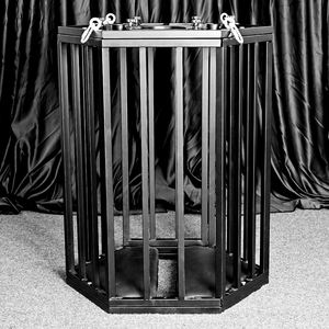 BDSM jaula hexagonal grande muebles eróticos SM accesorios de habitación de dominación jaula colgante herramientas sexuales para adultos - Product Image 1