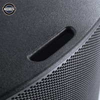 Subwoofer actif professionnel de 12, 15, 18 pouces avec module d'amplification intégré
