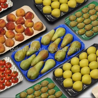 Inserts en plastique PP/PET pour barquettes à fruits, fournis par l'usine, pour l'emballage des barquettes à cavités pour pommes, mangues, papayes, tomates, avocats et légumes
