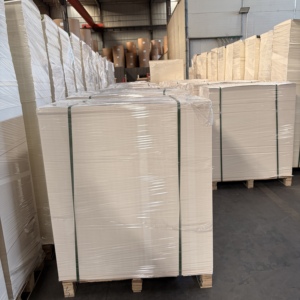 Feuilles de papier PE haute densité enduites, en rame jumbo, de qualité alimentaire, pour l'impression flexographique et les supports vierges pour gobelets en papier - Product Image 2