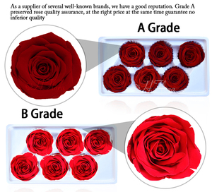 Ramo de flores para decoración de habitación de Bodas de San Valentín, producto terminado DIY, caja de rosas eternas, rosas preservadas, 5-6cm, cabeza de rosa de grado <span class=keywords><strong>A</strong></span> - Product Image 6