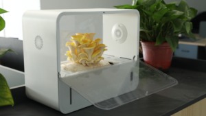 Modèles explosifs <span class=keywords><strong>click</strong></span> <span class=keywords><strong>and</strong></span> <span class=keywords><strong>Grow</strong></span> smart garden hydroponics desk smart garden sprout <span class=keywords><strong>grow</strong></span> machine - Product Image 5