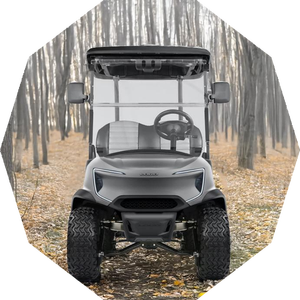 รถกอล์ฟไฟฟ้าสำหรับล่า4X4 4ที่นั่ง3500W - Product Image 4