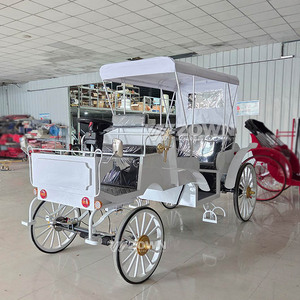 Calèche électrique personnalisée pour événements spéciaux, limousine de tourisme, calèche vintage blanche - Product Image 3