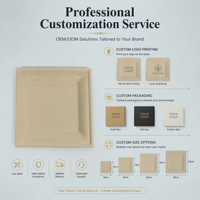 Assiette carrée jetable écologique de 6 pouces en canne à sucre compostable pour le camping et les fêtes, utilisable au micro-ondes