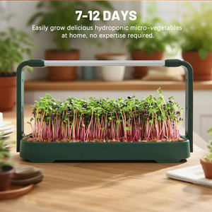 Kostengünstigeres Garten-Starter-Set Smartes Hydroponik-System für Salat und Kräuter für den Innenanbau - Product Image 3