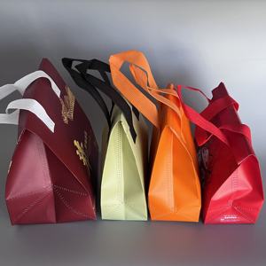 Sac Isotherme Noir Tendance en Tissu Non-Tissé avec Fermeture Éclair pour Pique-Nique en Extérieur et Rangement Alimentaire – Offre Spéciale - Product Image 4