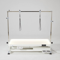 CIDON 833 PRO Table de toilettage pour animaux de compagnie avec lumière LED Table de toilettage pour chiens (110*60cm)