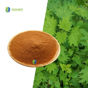 SLBIO Tedarik Çalı Özü <span class=keywords><strong>Urtica</strong></span> <span class=keywords><strong>Dioica</strong></span> 10:1 Gıda Sınıfı Çalı Yaprağı Ekstresi Tozu - Product Image 2