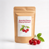 Extrait de cerise Acerola en poudre de qualité alimentaire, fourni par l'usine