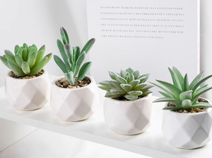 Xinrunjin simulado felpa suculenta bonsái biomimético verde maceta flor Artificial escritorio negocios regalos promocionales - Product Image 3