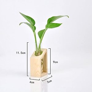 Ensemble de photographie <span class=keywords><strong>en</strong></span> <span class=keywords><strong>verre</strong></span> avec support <span class=keywords><strong>en</strong></span> bambou, bac à tests <span class=keywords><strong>en</strong></span> <span class=keywords><strong>verre</strong></span>, Terrarium, Mini Pots pour plantes hydroponiques pour décor spatial - Product Image 6