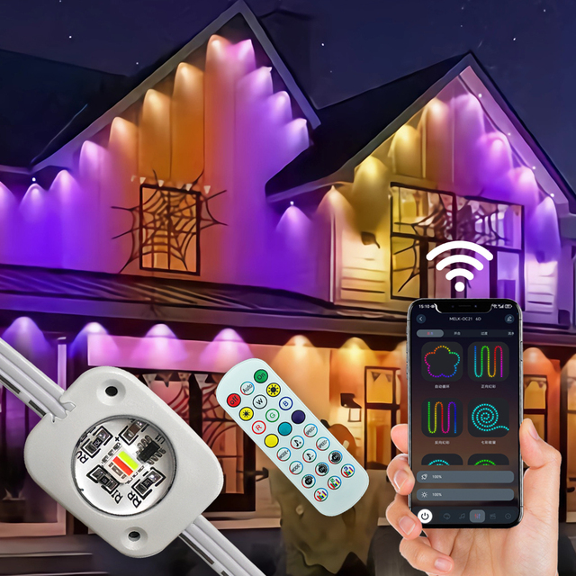 Smart Holiday Permanent Christmas LED Pixel Point Lights 24V Waterproof Outdoor Decorative Lighting