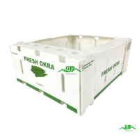 Groothandel Eco-vriendelijke Waterdichte Verpakkingen voor Vers Fruit en Groenten, PP Plastic Golfkarton Okra Omzetdozen