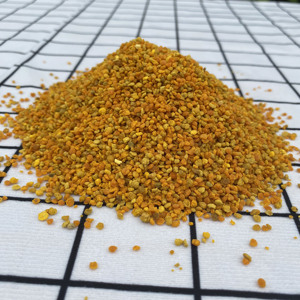 Gránulos de Polen de Girasol 40-80 Mesh - Disolución Instantánea 100% Pureza 20% Proteína en Pellets Alimento/Suplemento para Mascotas (Bolsa) - Product Image 6
